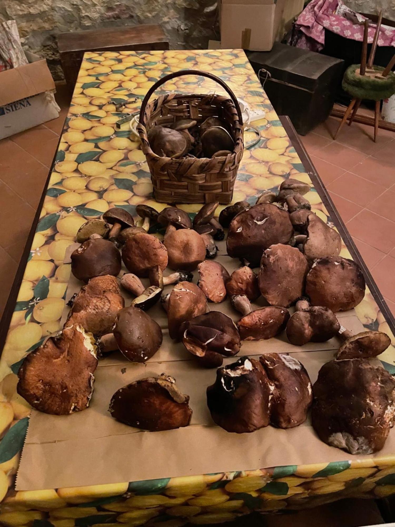 Appartamento Casamoira Trequanda Esterno foto