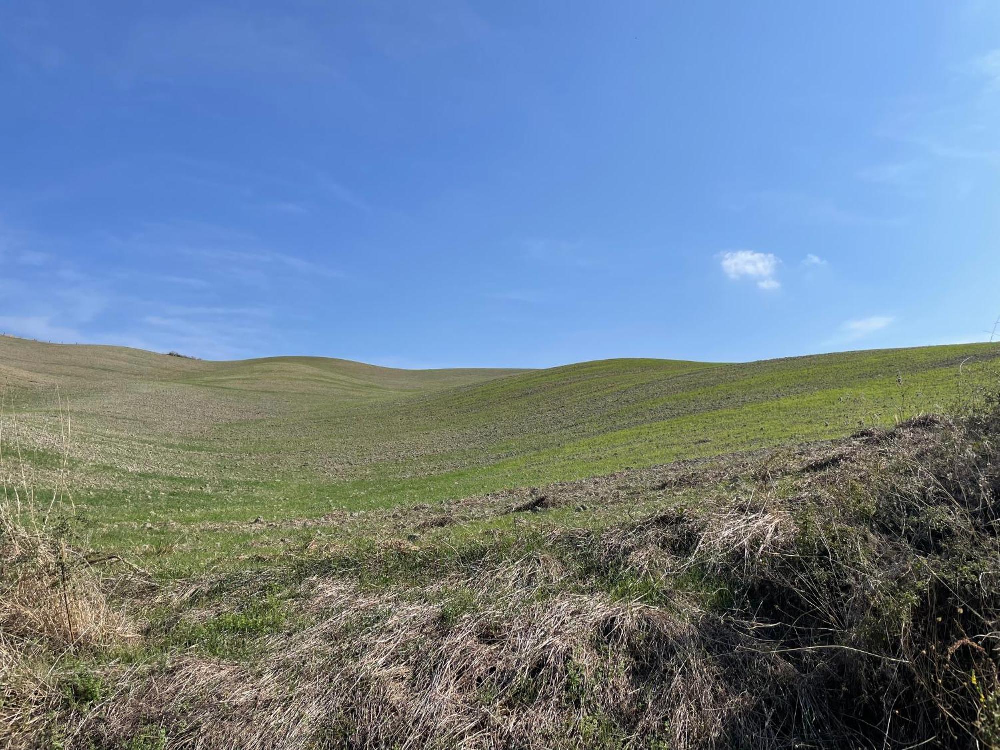 Appartamento Casamoira Trequanda Esterno foto