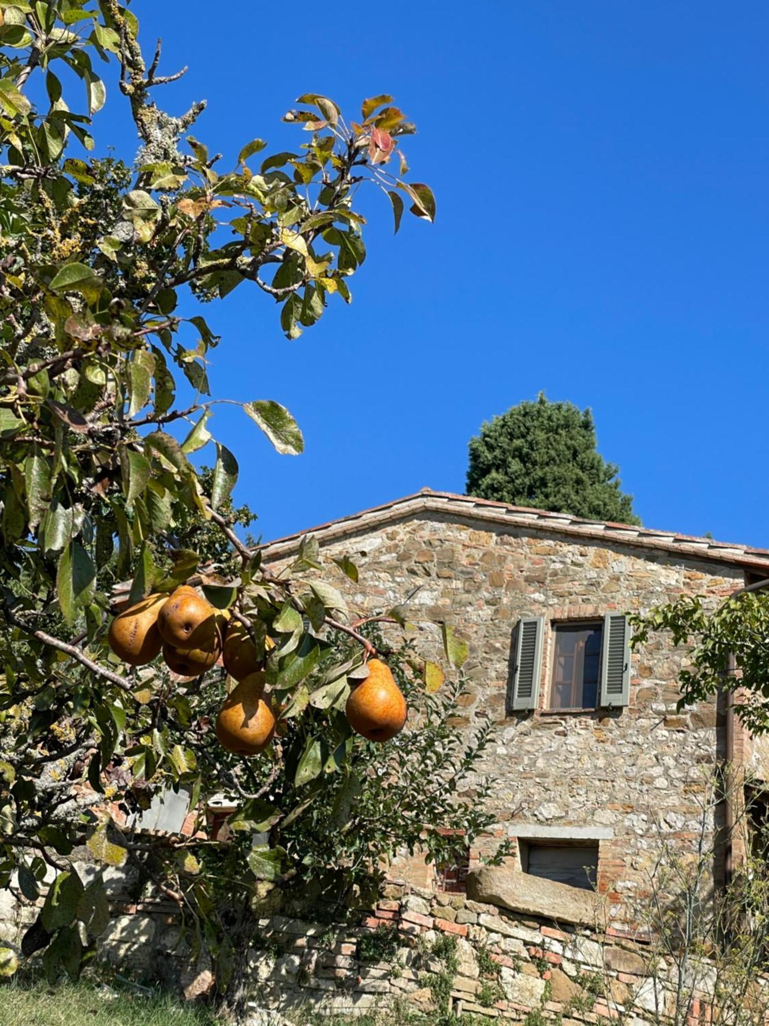 Appartamento Casamoira Trequanda Esterno foto